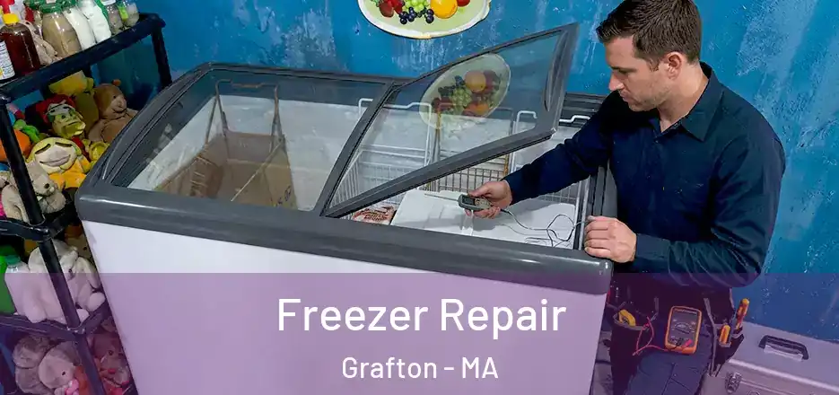 Freezer Repair Grafton - MA
