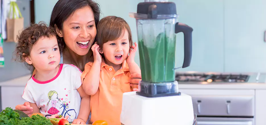 Juicer and Mixer Blender Repair in Grafton