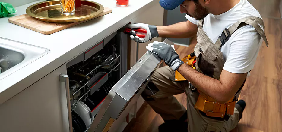 Same Day Dishwasher Not Draining Repair in Grafton